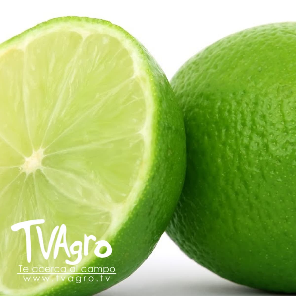 Remedios Caseros Usando Limón - TvAgro por Juan Gonzalo Angel - TV AGRO cover