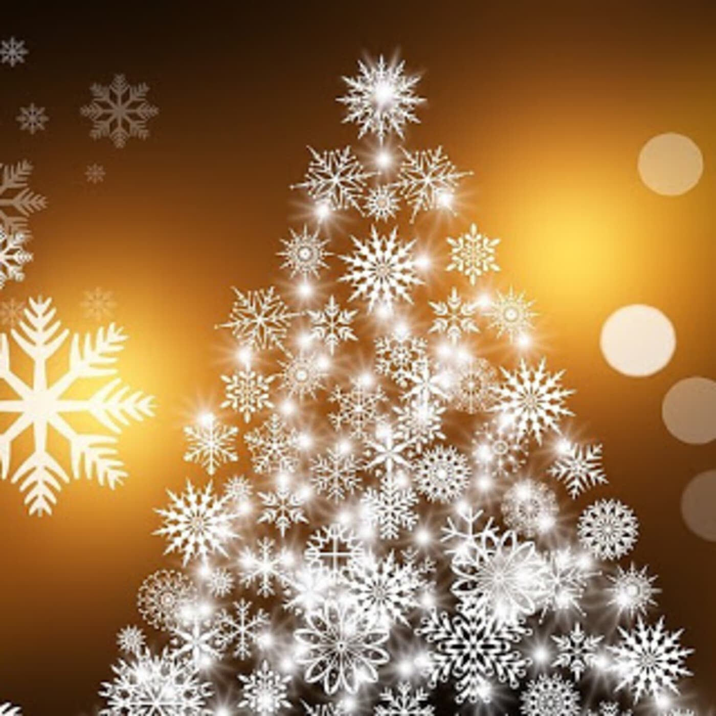 De Navidad Xperiences - TOTAL WRESTLING cover