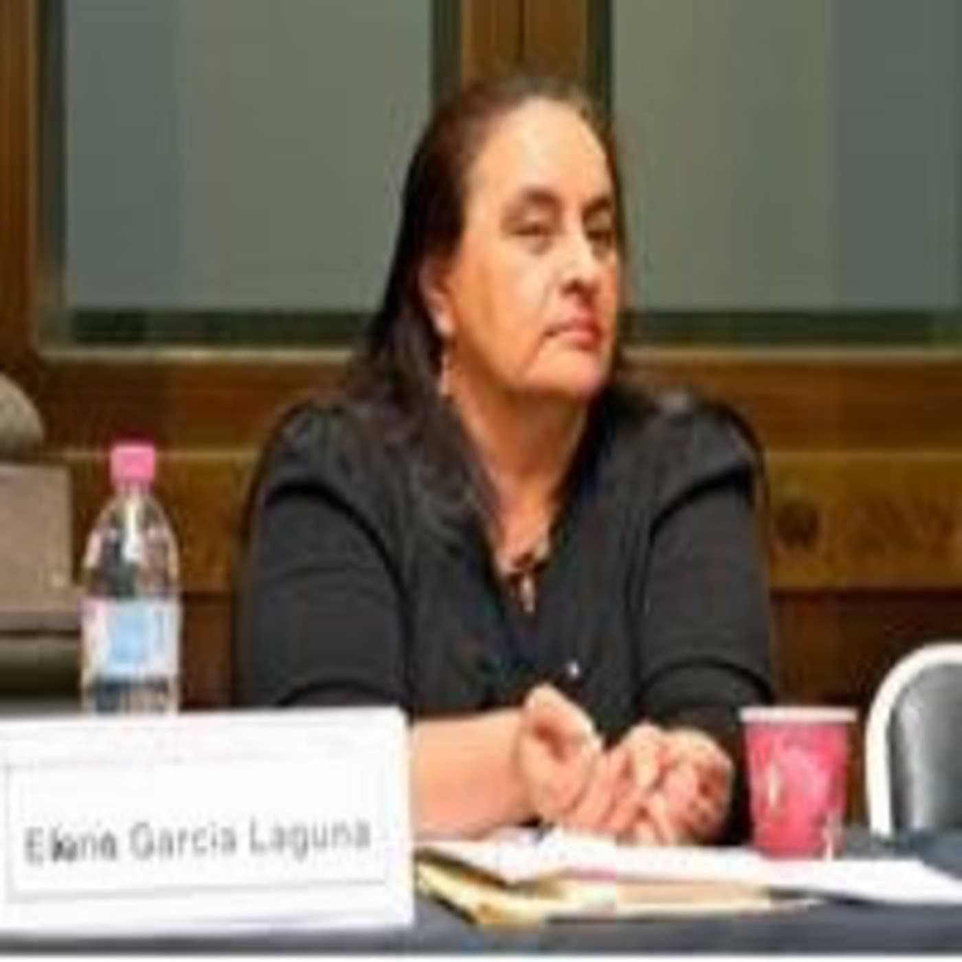 Ponencia de Eleana García Laguna - Podcast Los Grandes Problemas Nacionales cover