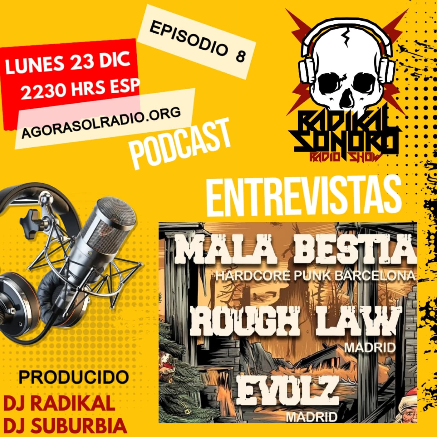 Episodio 8|Radikal Sonoro - Radikal Sonoro Programa Radio cover