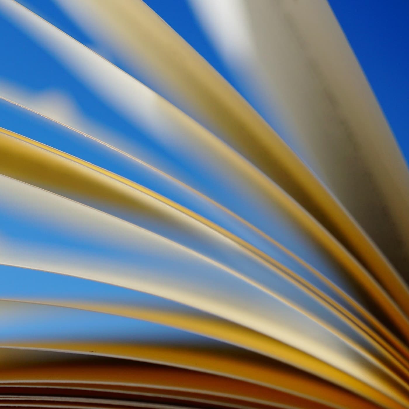 Palabras huecas... - Angel L. Perez cover