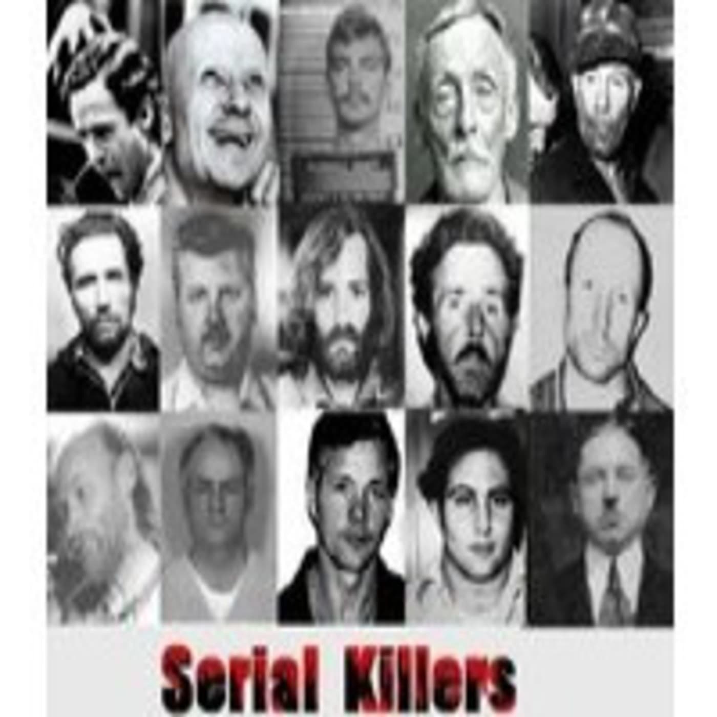 El libro de los secretos de EEUU: Asesinos en serie — Asesinos en Serie (Series Tematicas) cover