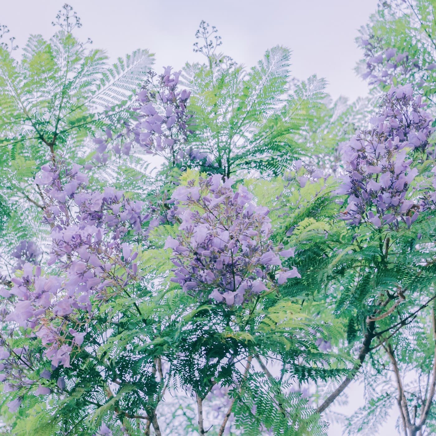 estudio de caso - calvin cover