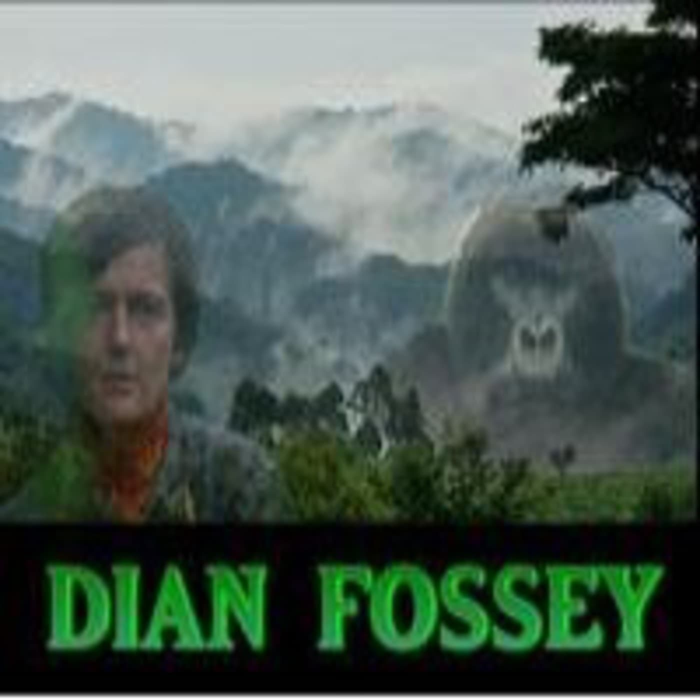 Dian Fossey - Pasajes de la Historia por Juan Antonio Cebrián cover