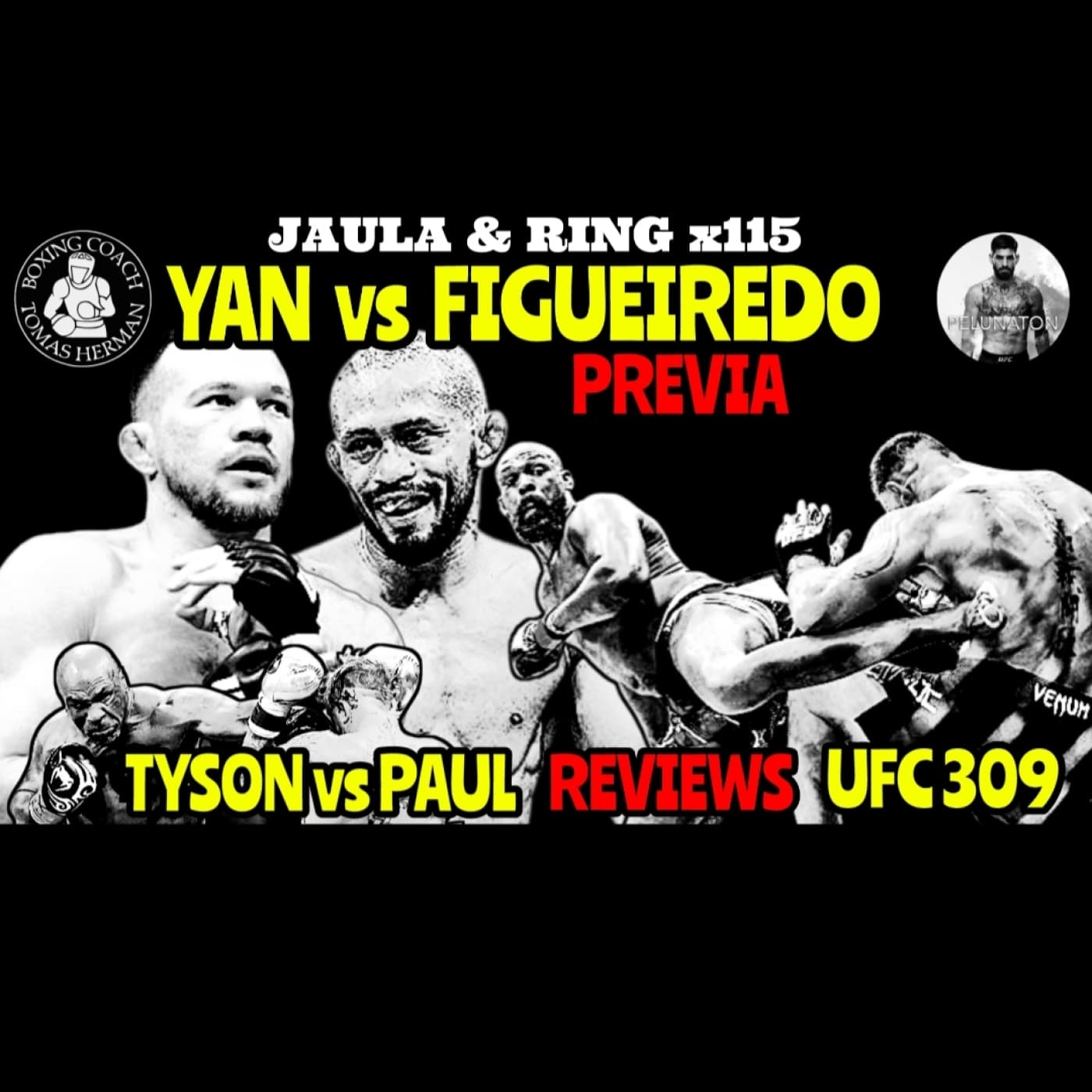 YAN vs FIGUEIREDO - Reviews UFC 309 & TYSON vs PAUL - Tomás Hermán cover