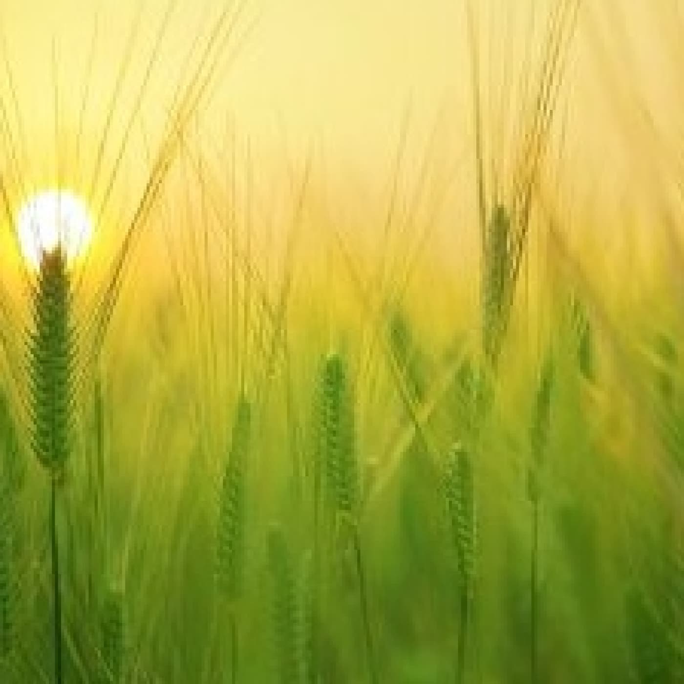 De lo viejo y lo joven - Angel L. Perez cover