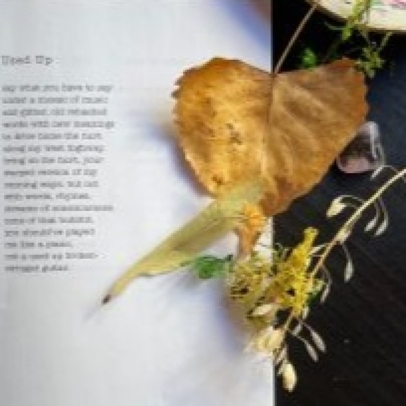 Sembrando poemas - Angel L. Perez cover