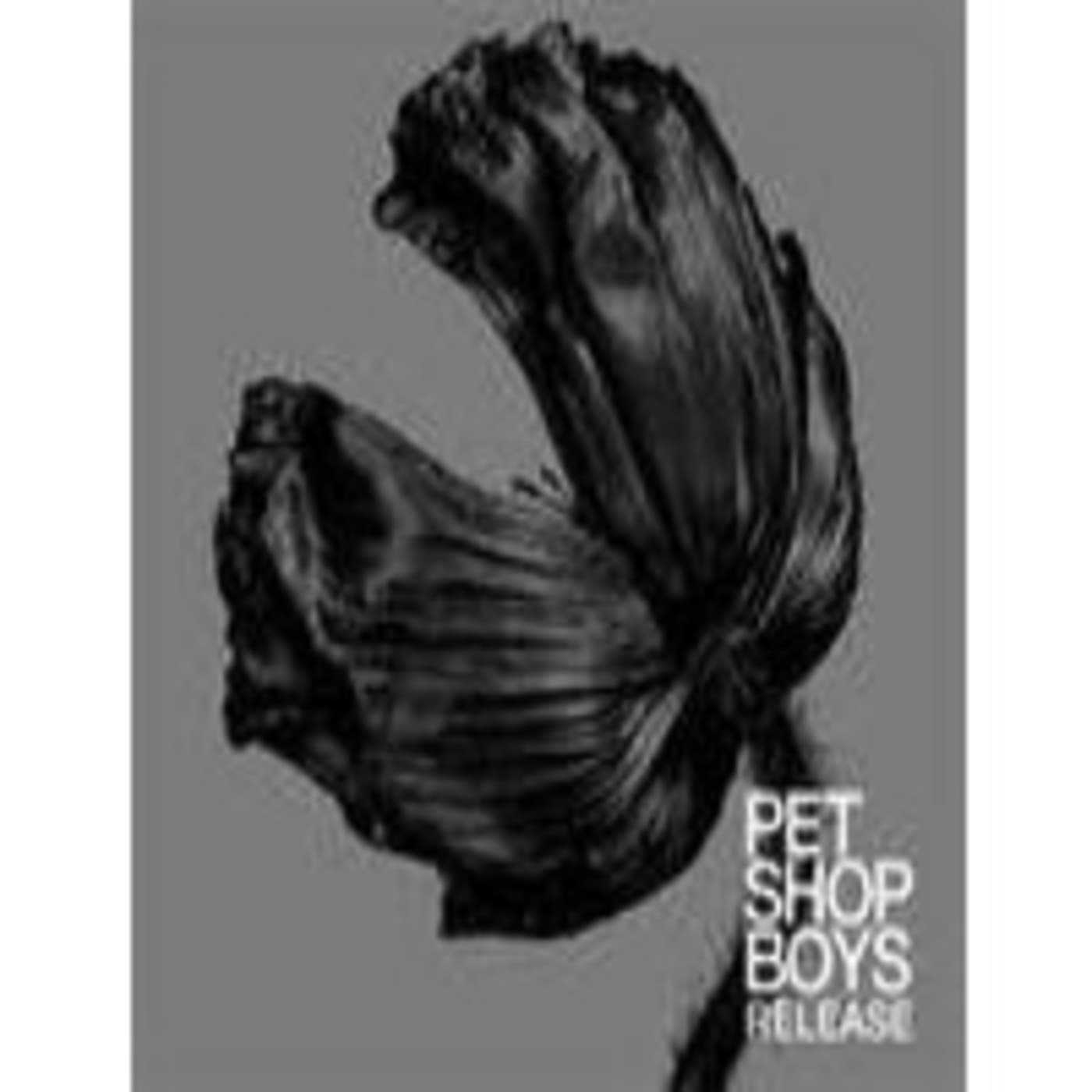 The Samurai In Autumn - PET SHOP BOYS cover