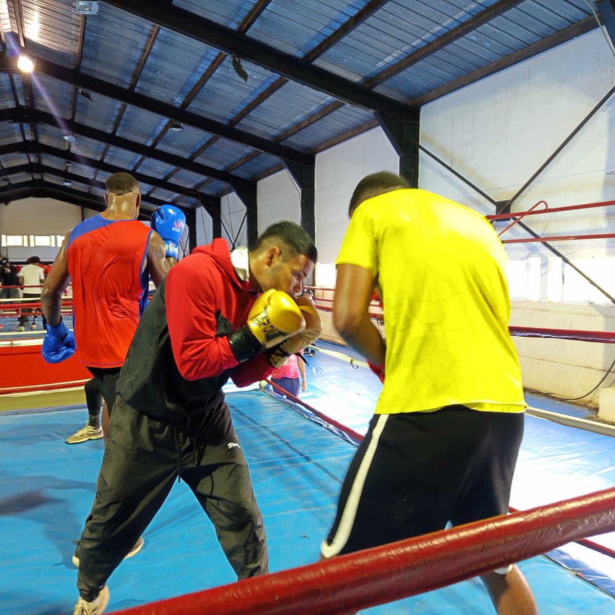 Púgiles cubanos buscarán clasificación a Santo Domingo 2026 - Radio Rebelde cover