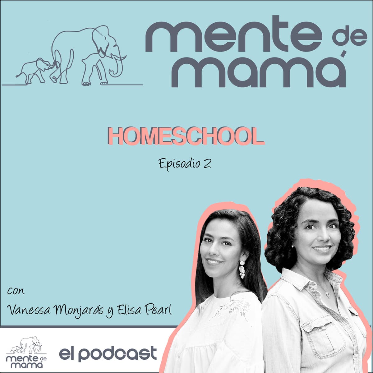 Homeschool - Mente de Mamá cover