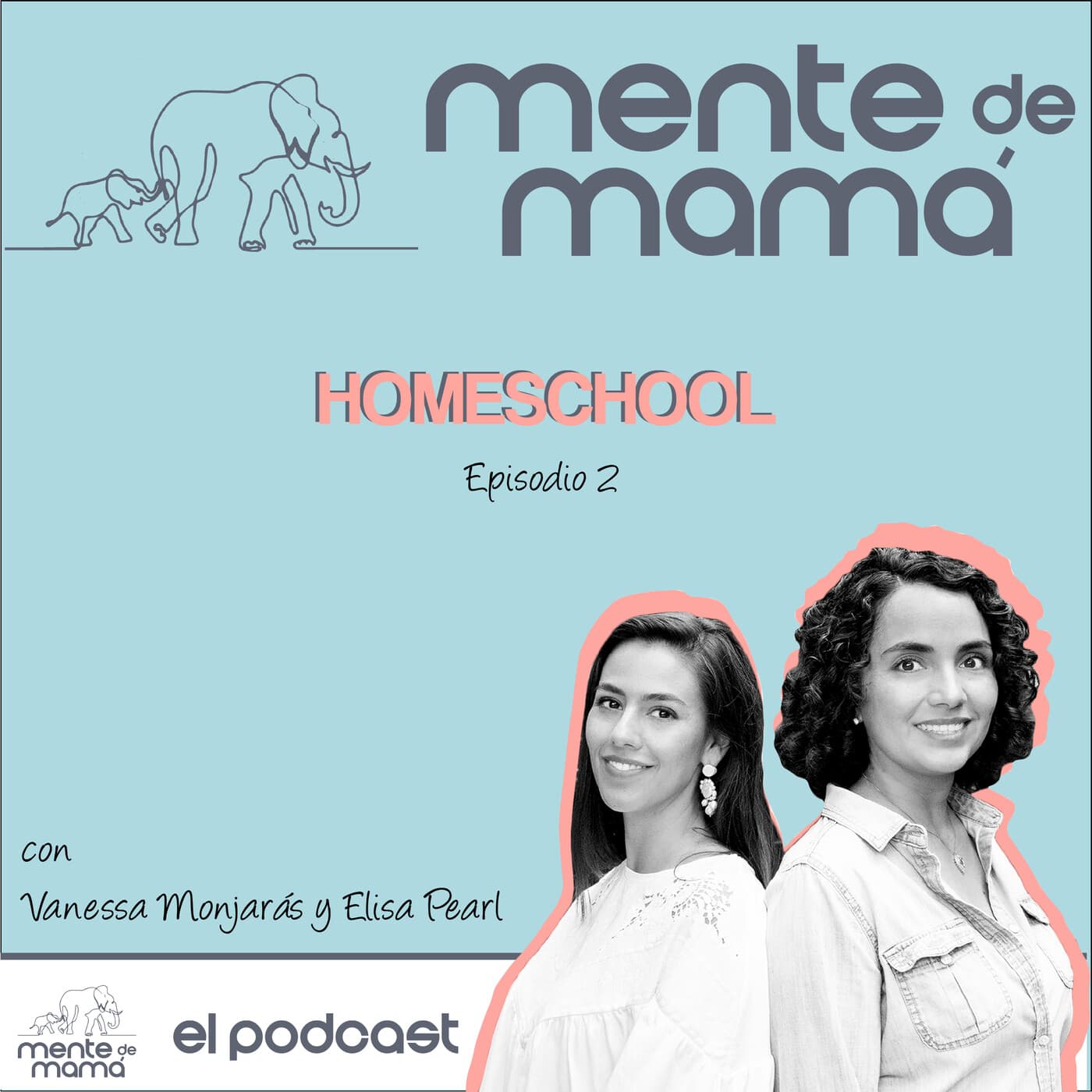 Homeschool - Mente de Mamá cover