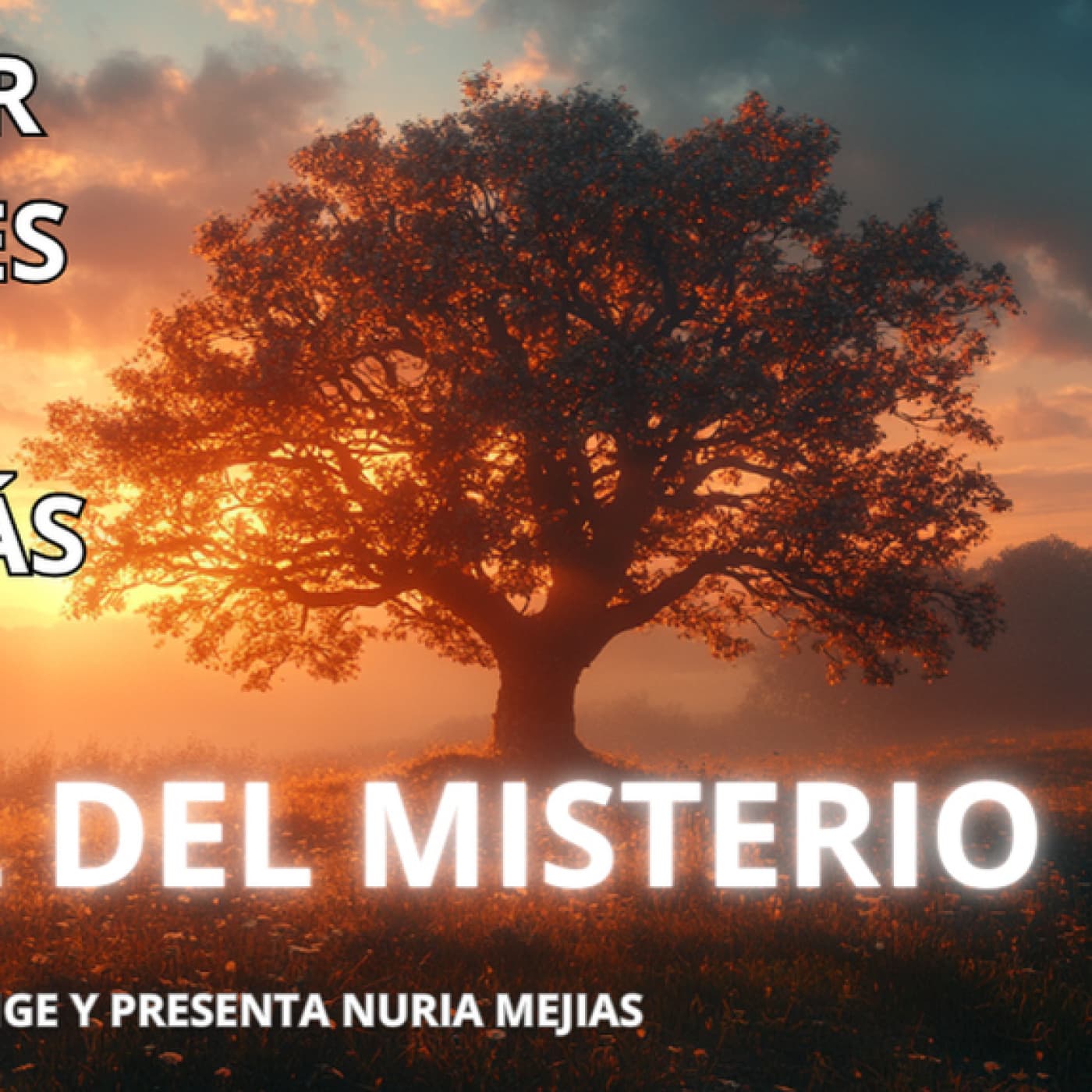 435- 2x11- RECONOCER LOS ERRORES- SEÑAL DESDE EL MÁS ALLÁ - CDM-CANAL DEL MISTERIO (Programa) cover