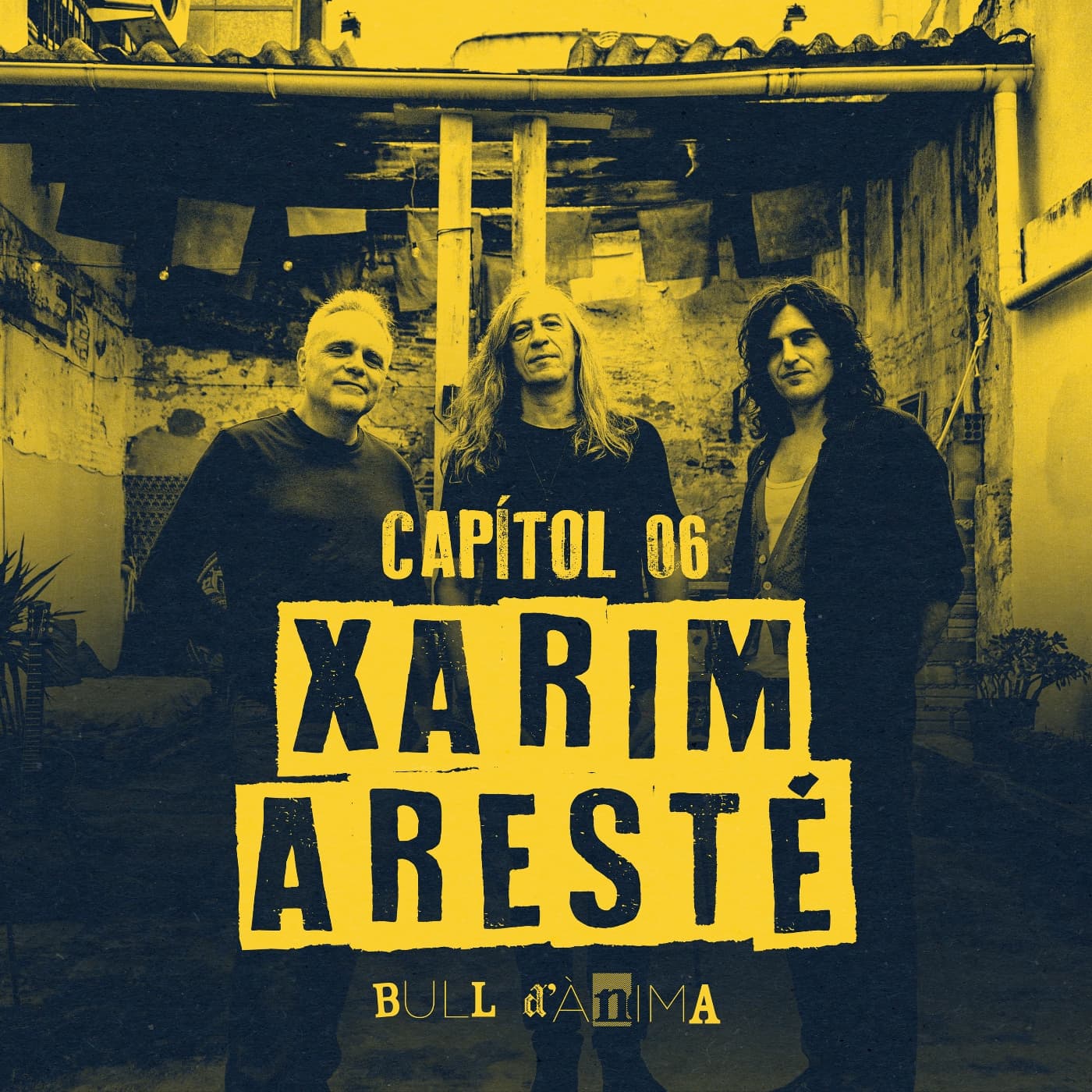 Xarim Aresté - Bull d'Ànima cover