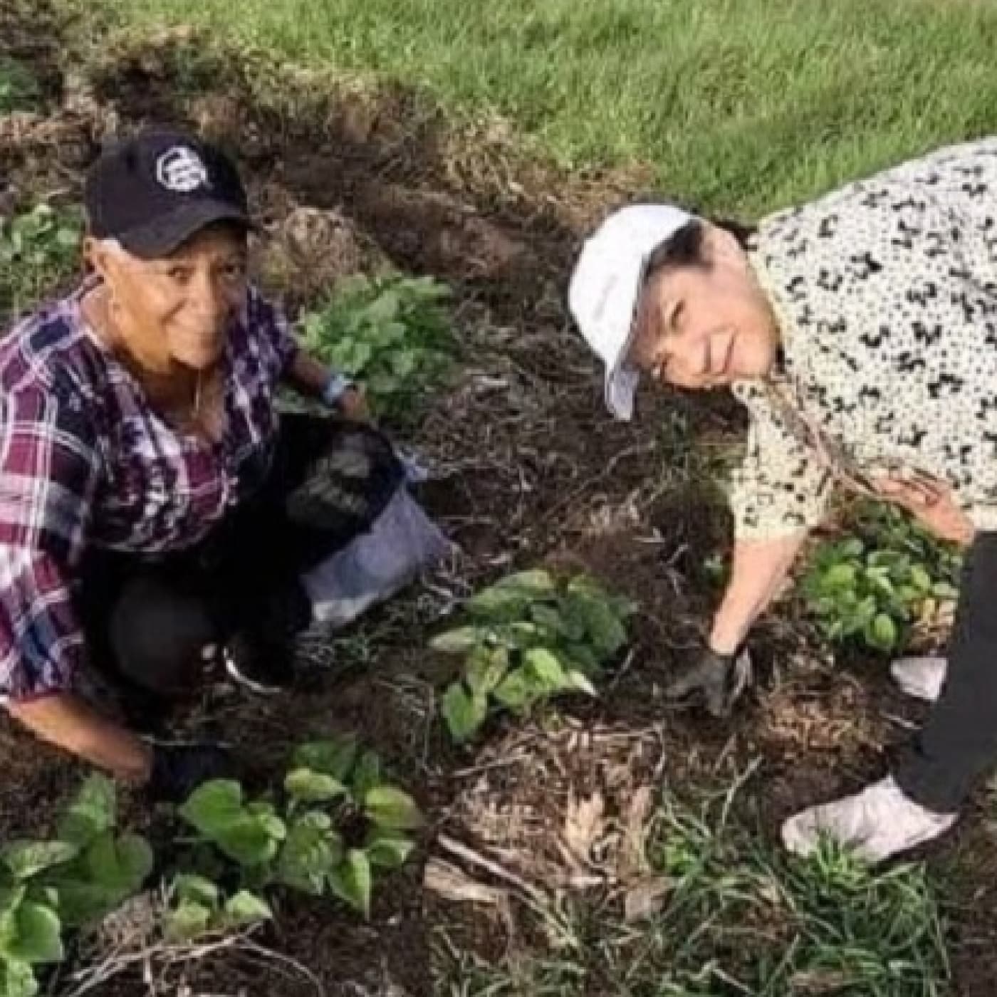 Niurka García Cuéllar: una villaclareña que jamás se rinde — Radio Rebelde cover