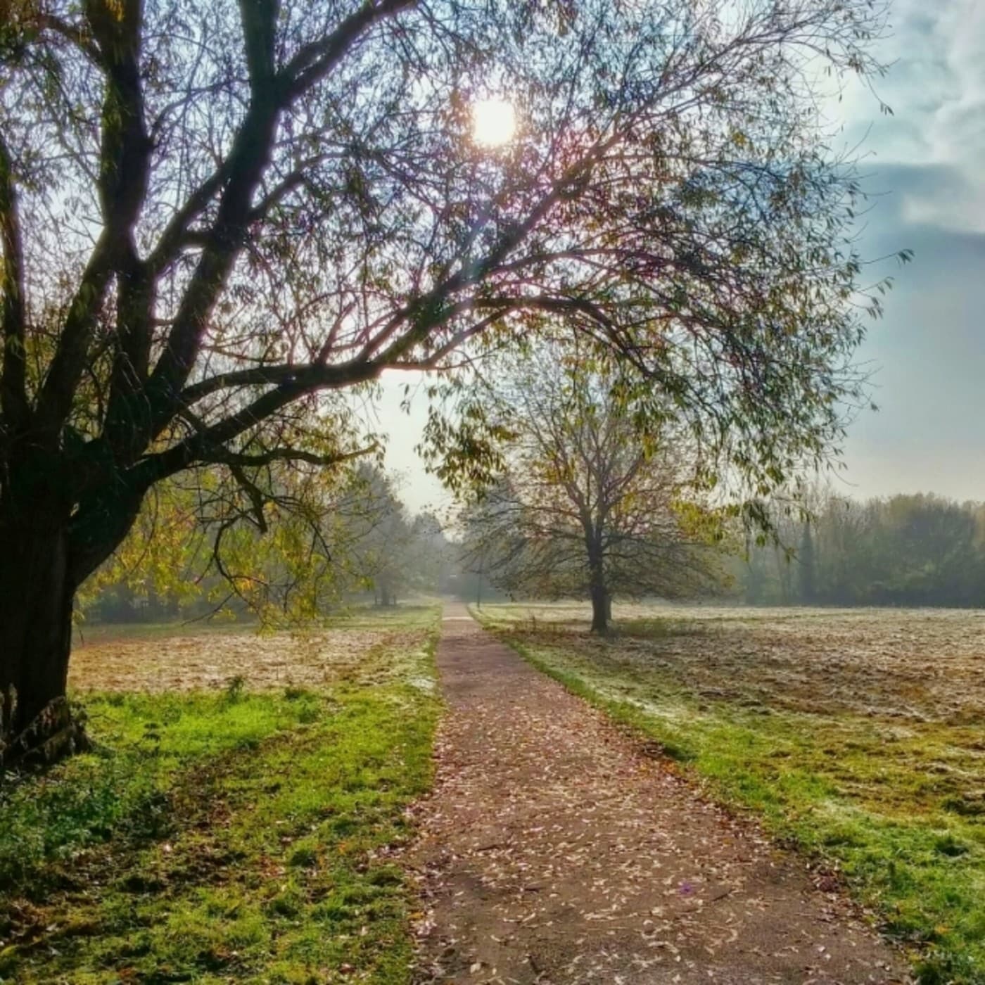 Audio 25 de abril de 2017: El Camino Espiritual - Meditaciones Abril 2017 cover