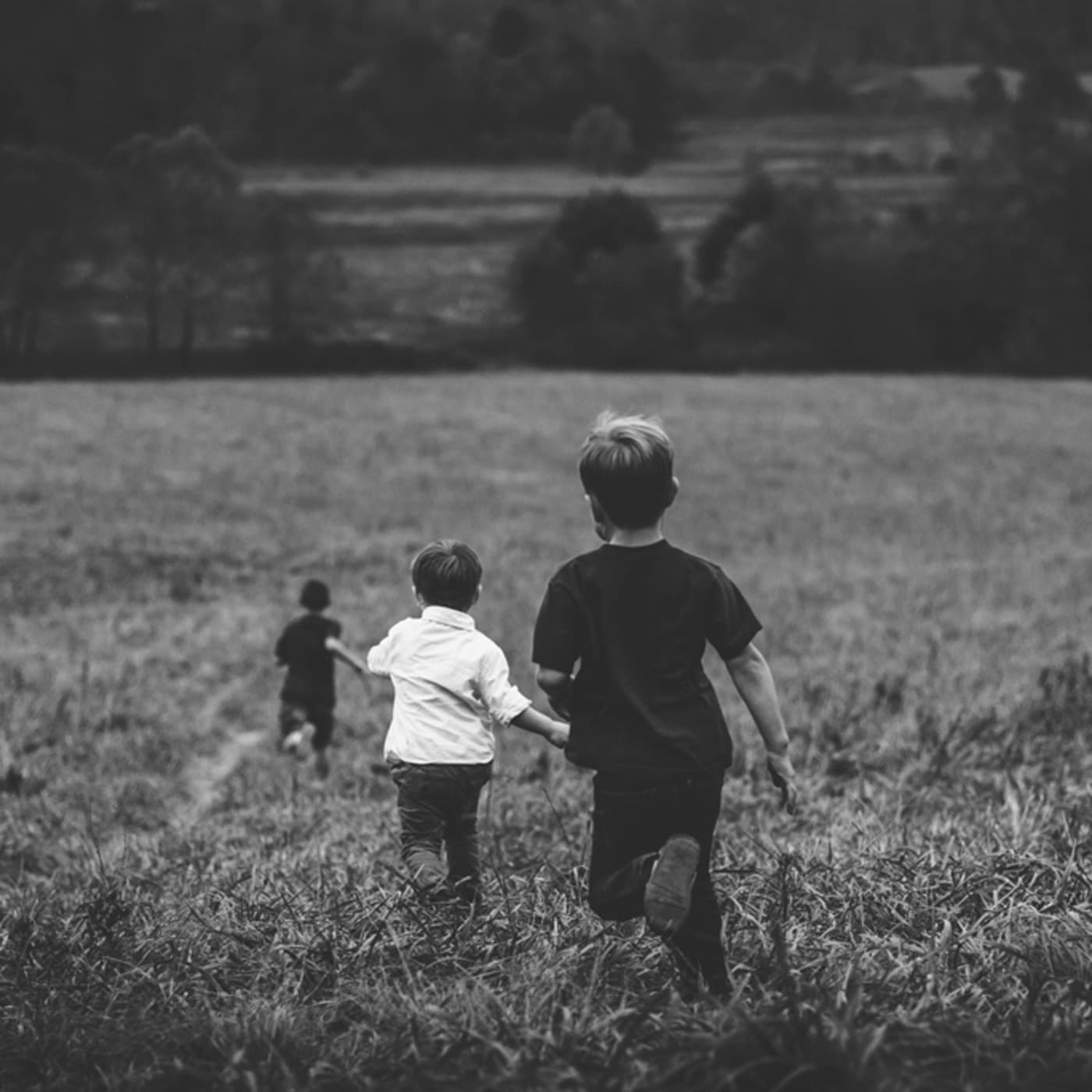 Audio 27 de abril de 2017: La Educación - Meditaciones Abril 2017 cover