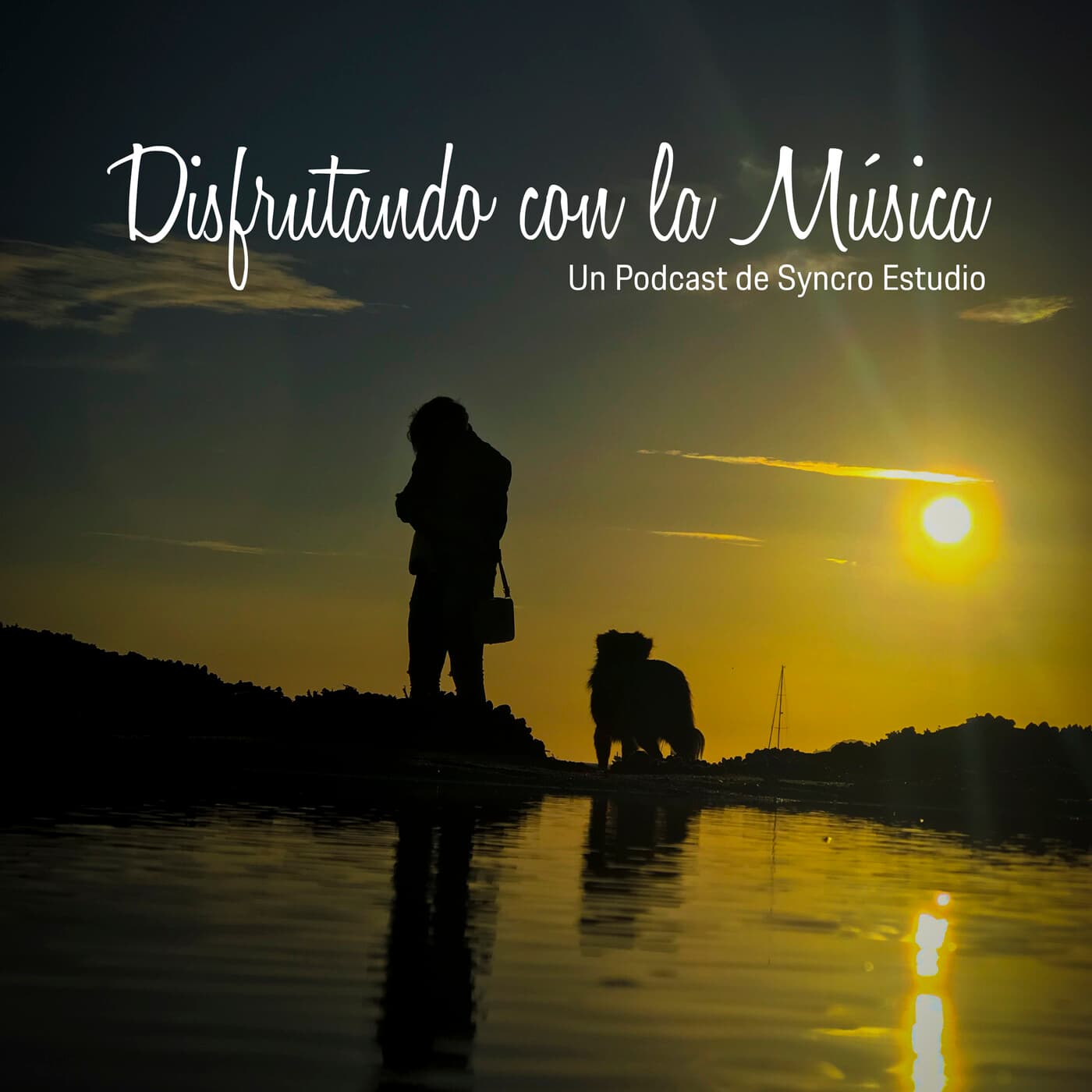 Disfrutando con la Música cover