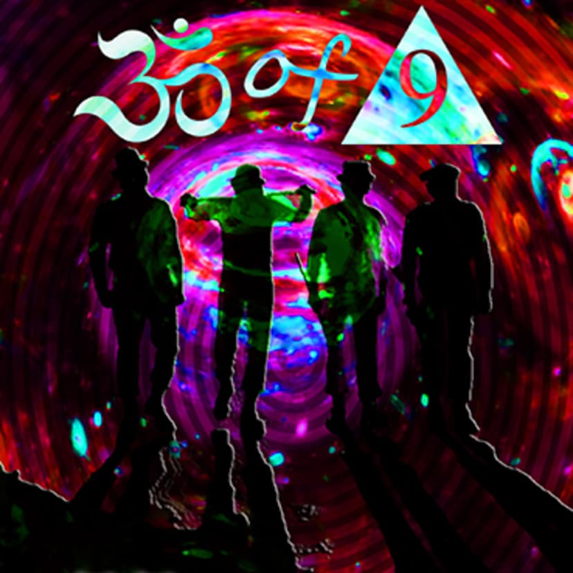 The Fantastic Murder Hallucination  cover