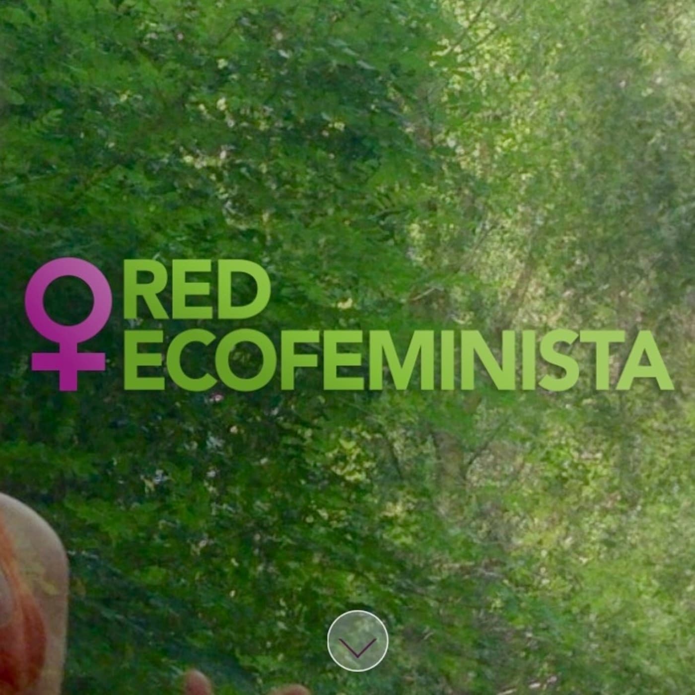 RED ECOFEMINISTA cover