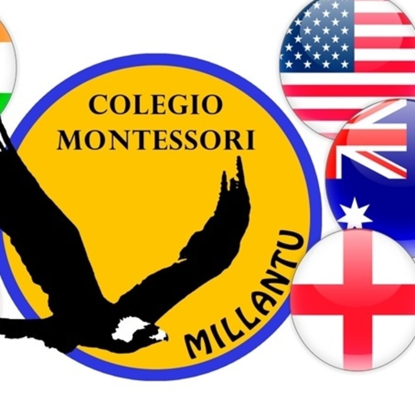 INTERNATIONAL DAY MILLA BASICA 2017 cover