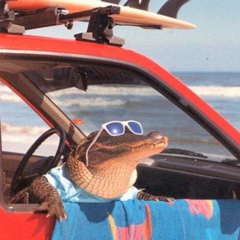 Caimanes por el Mundo cover