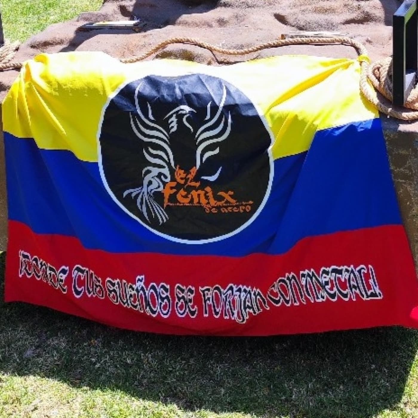 El fenix de acero cover