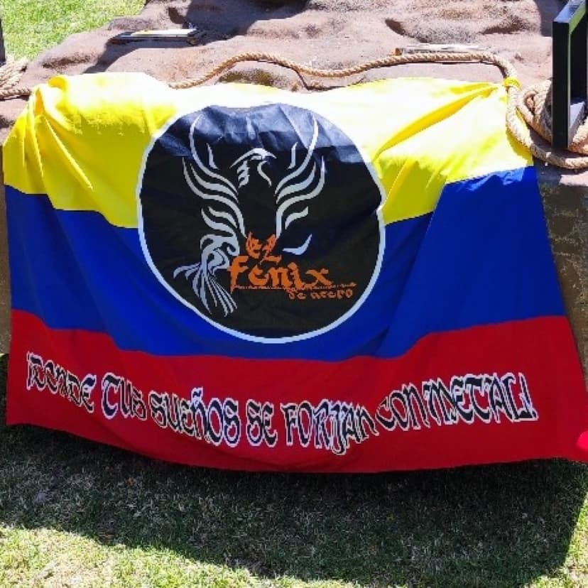 El fenix de acero cover