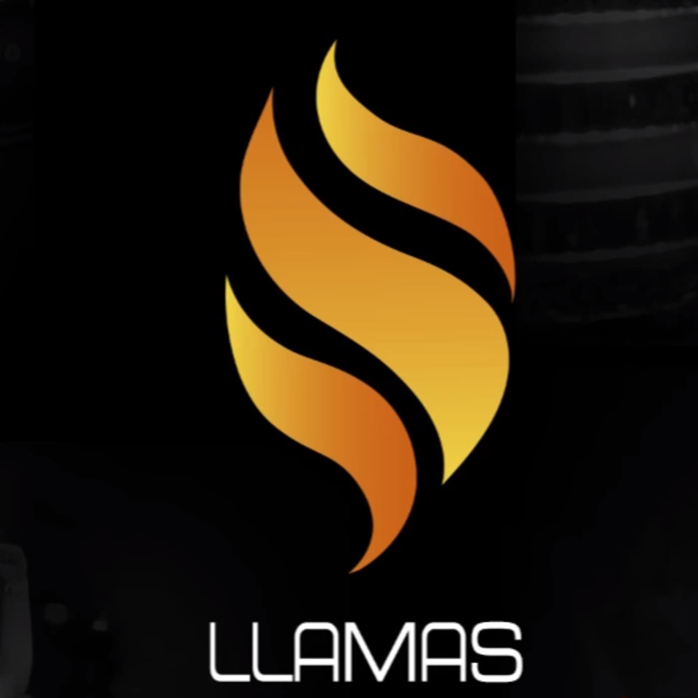 Llamas, con Sergio G0tt. cover