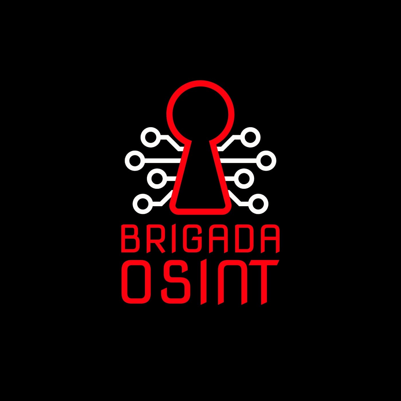 Brigada Osint cover