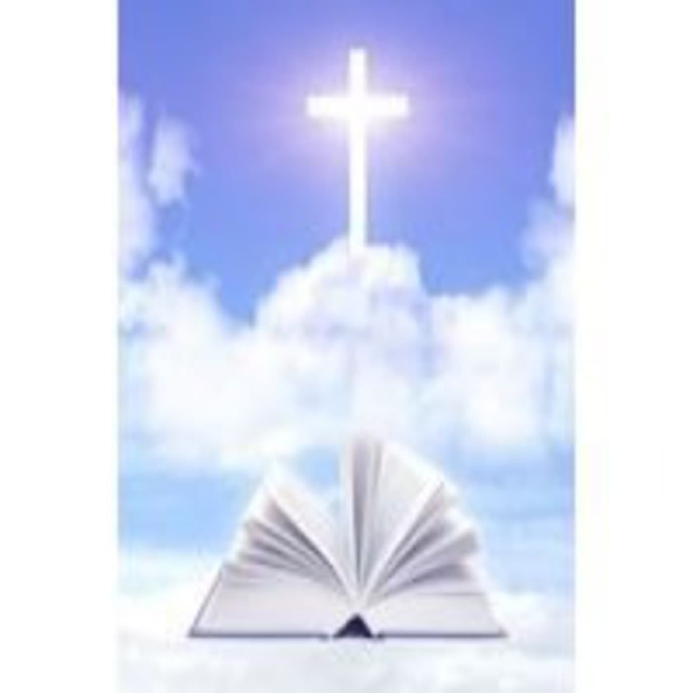 Apocalipsis adultos 10/08/2011 - Apocalipsis adultos cover