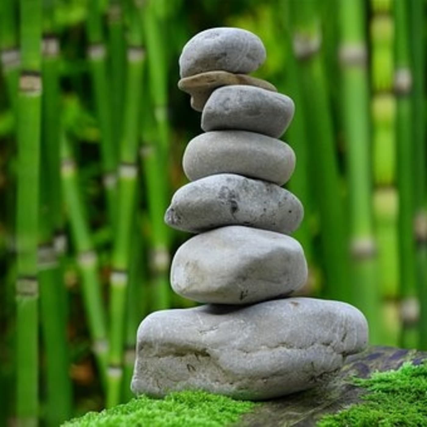 Alvaro Armando Bernal Garzón cover