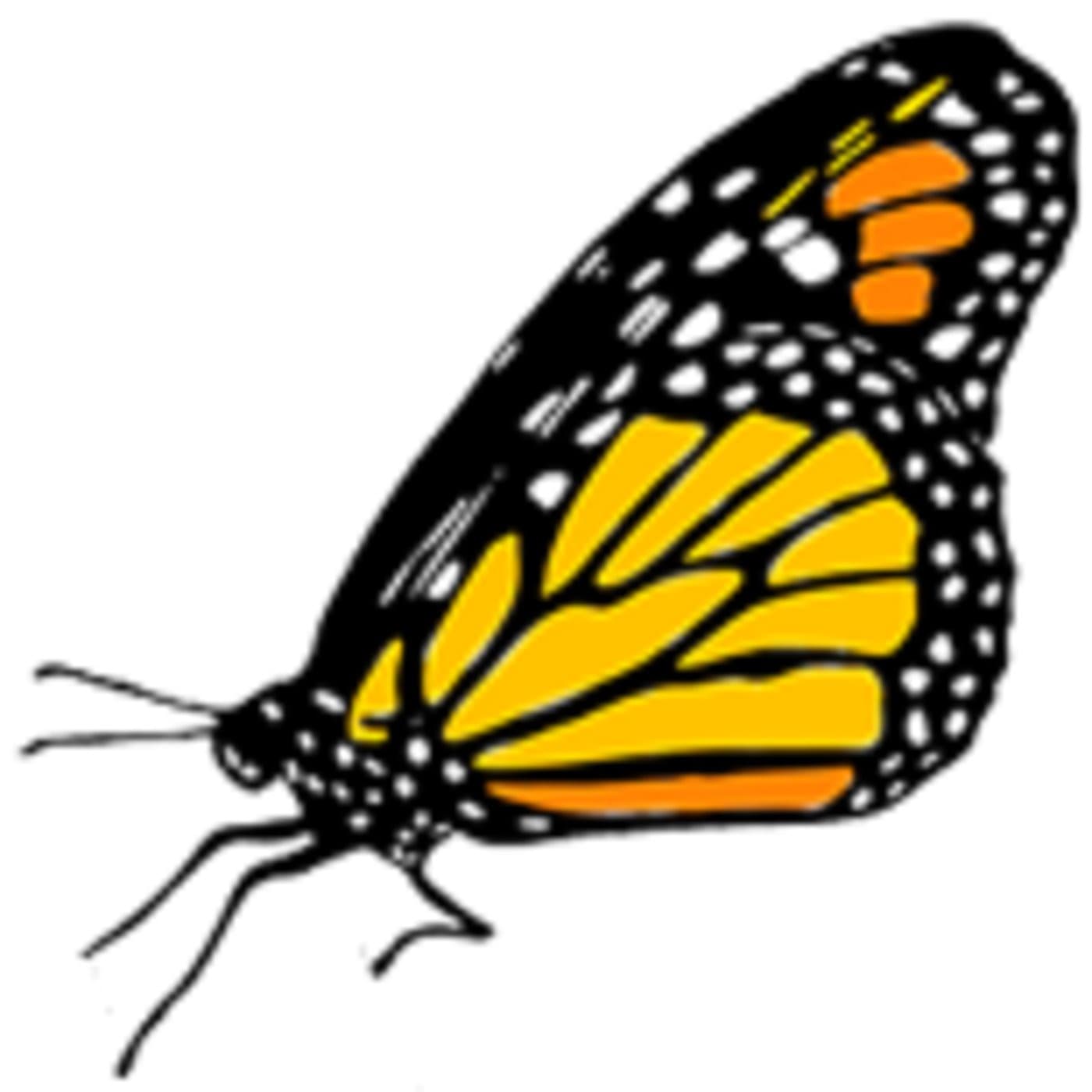 Podcast de MonarcaRadio cover