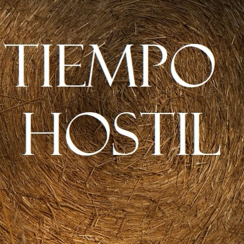 Tiempo Hostil cover