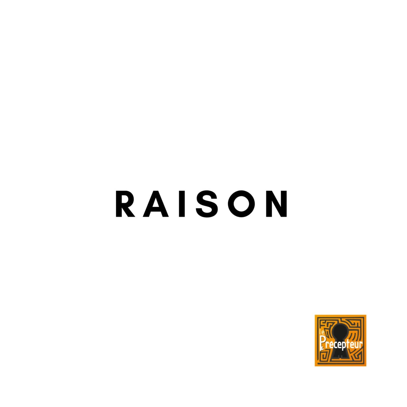 🔒 RAISON - 10 autres concepts fondamentaux de la philosophie cover