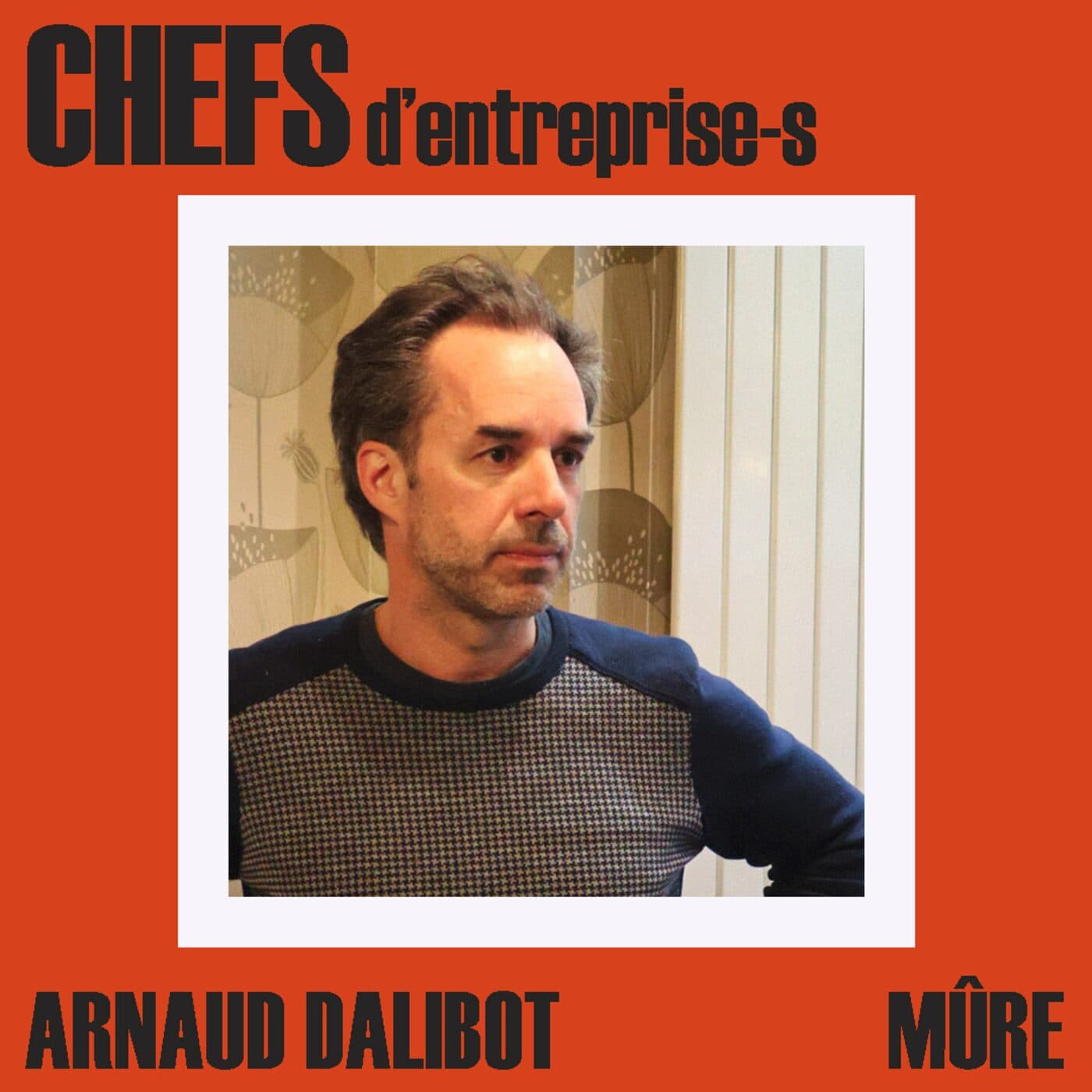 CHEFS D'ENTREPRISE-S - ARNAUD DALIBOT  - CHEFS cover