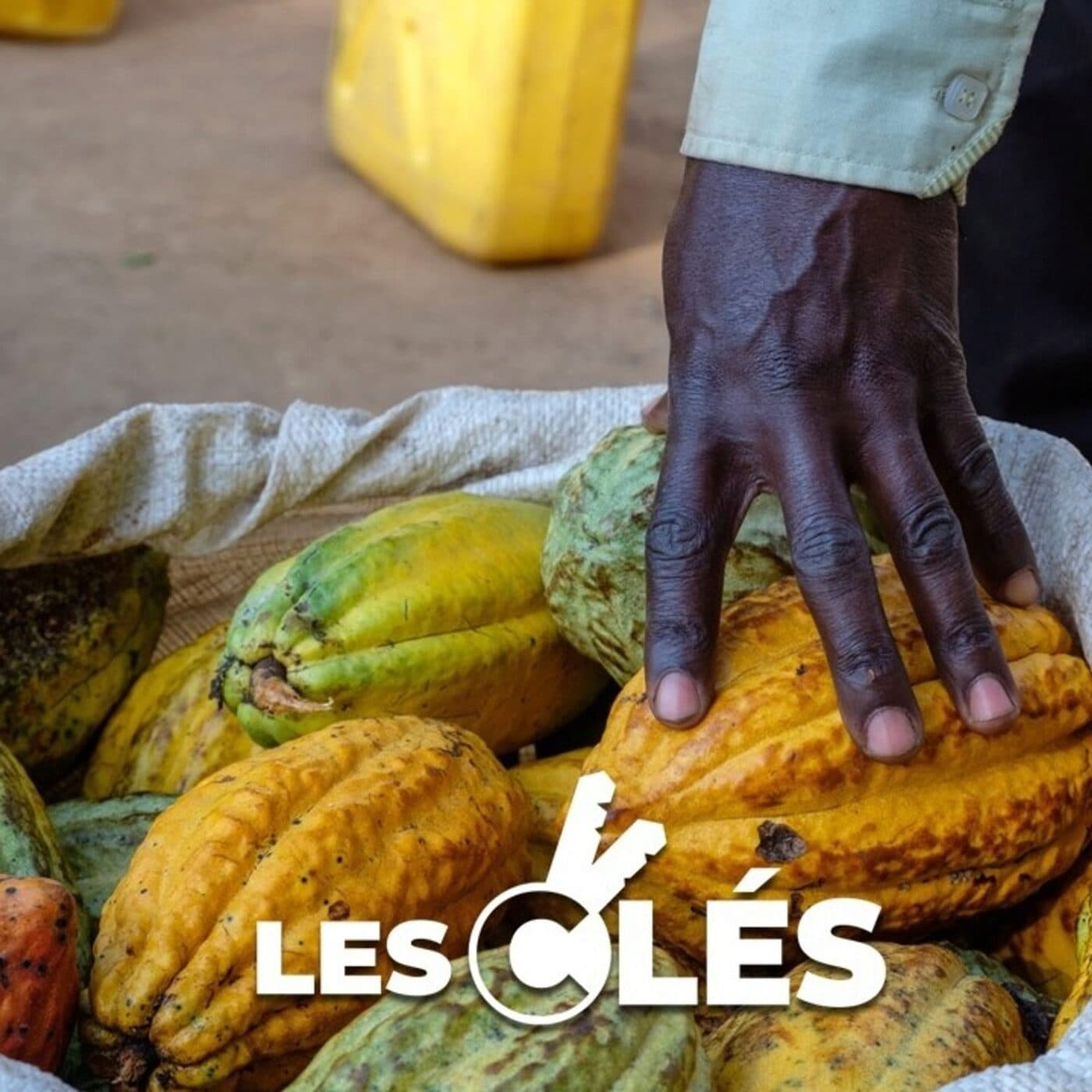 Le changement climatique va-t-il nous priver de chocolat ? - Les Clés cover