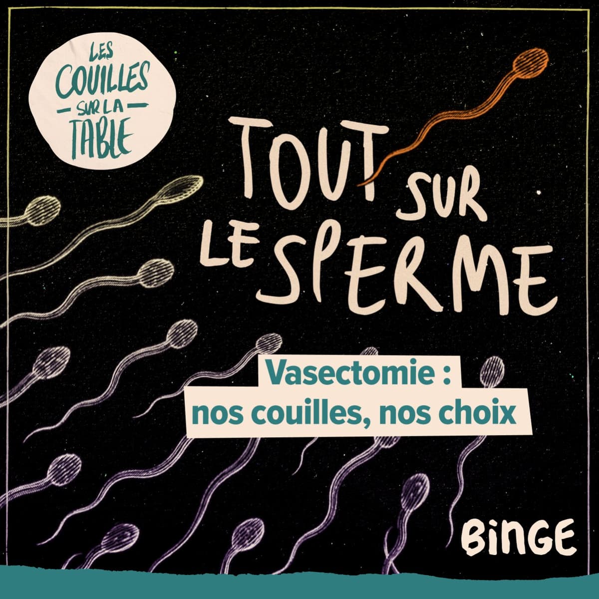 Vasectomie : nos couilles, nos choix (5/5) - Les Couilles sur la table cover