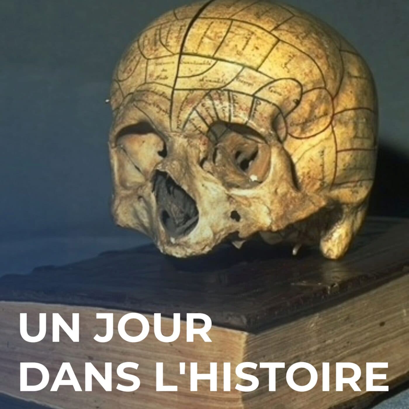 Dominer au nom de la race ? - Un Jour dans l'Histoire cover