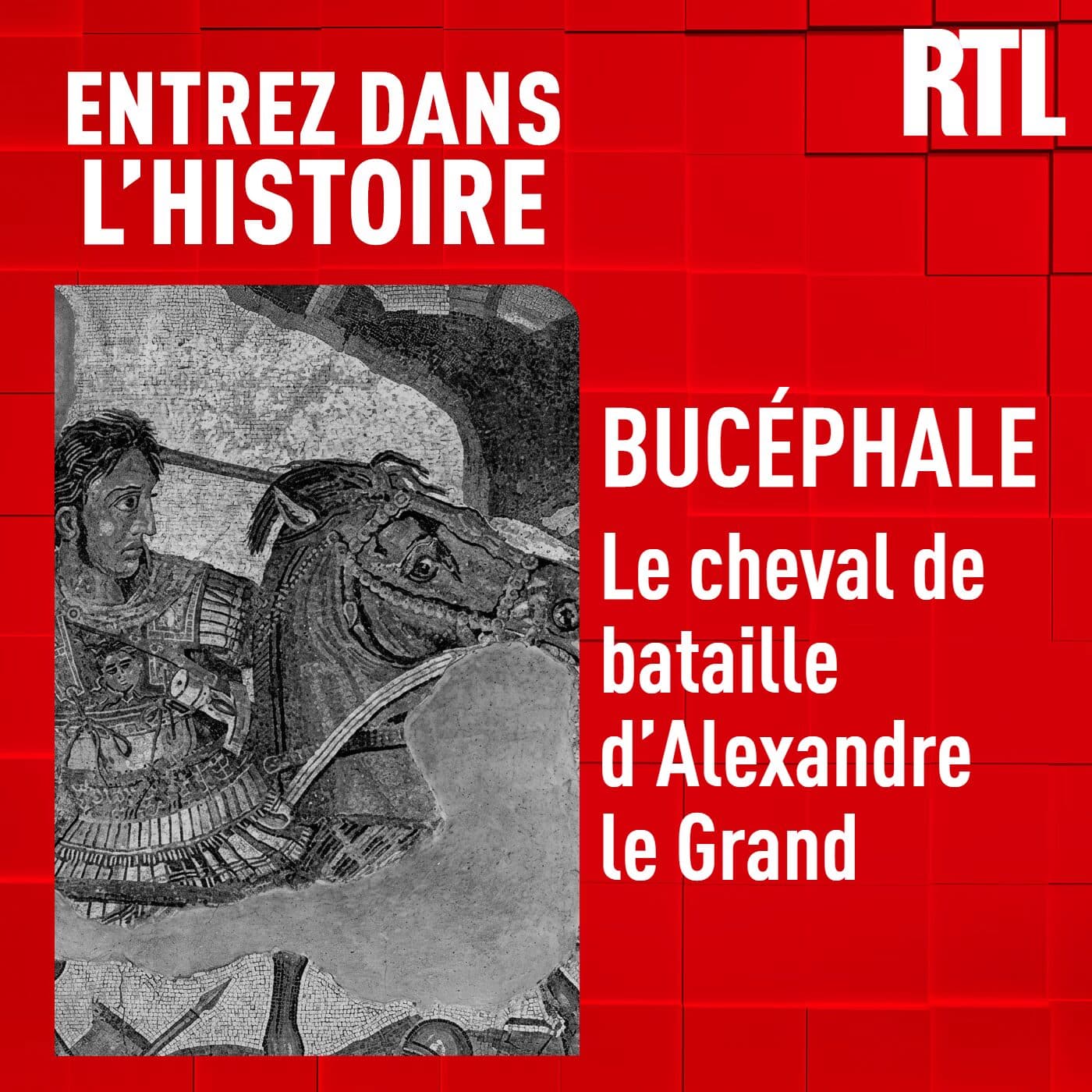 Bucéphale : le cheval de bataille d'Alexandre le Grand - Entrez dans l'Histoire cover