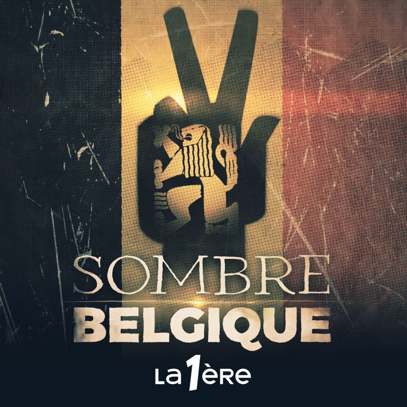 4 Années de Résistance | 5 | Le Danger - Sombre Belgique | Une Histoire moins respectable cover