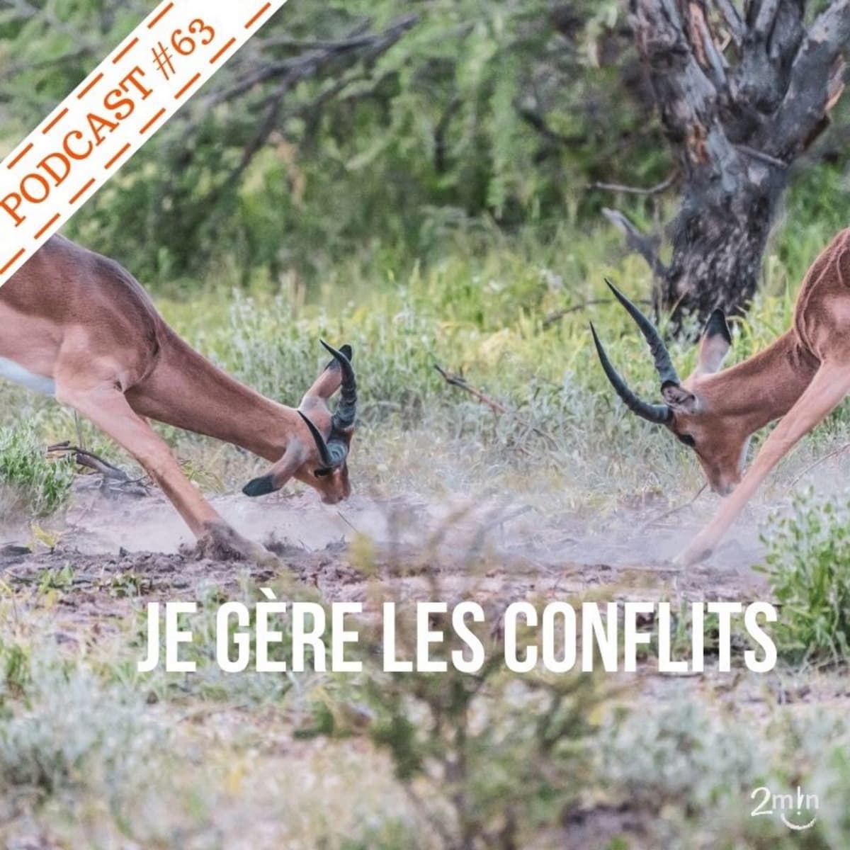 [REDIFF] - Conflits : et si c’était une chance pour mieux s’aimer ? - Bulle de Bonheur [Psychologie positive au quotidien] cover