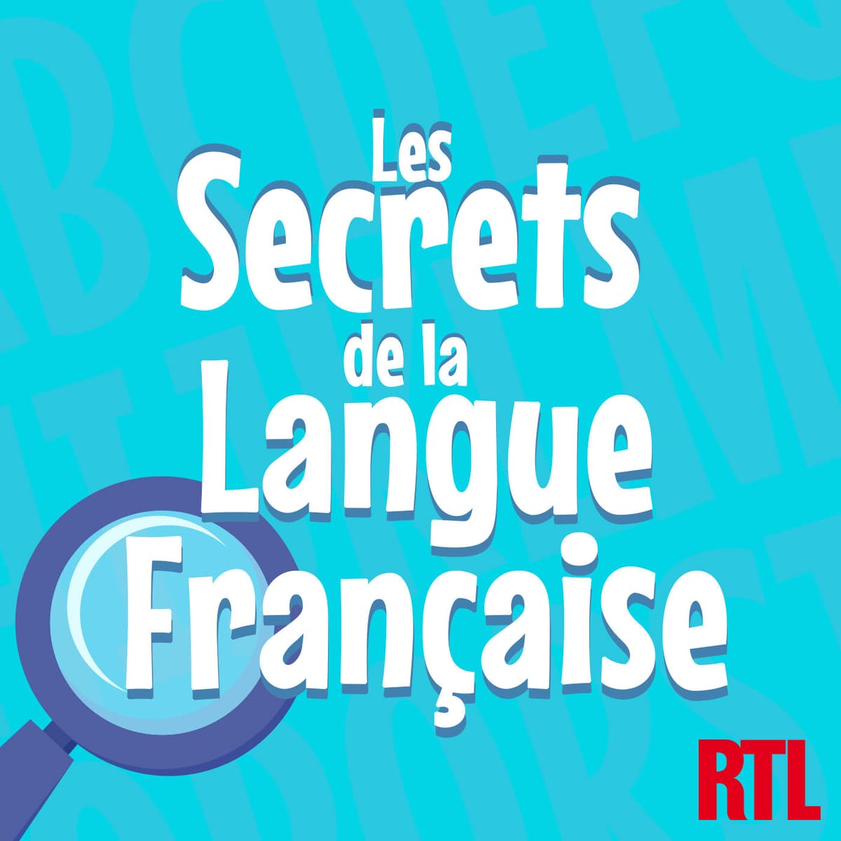 Des gens TELLE ma sœur ou TELS ma sœur ? - Les secrets de la langue française : orthographe, grammaire et conjugaison cover