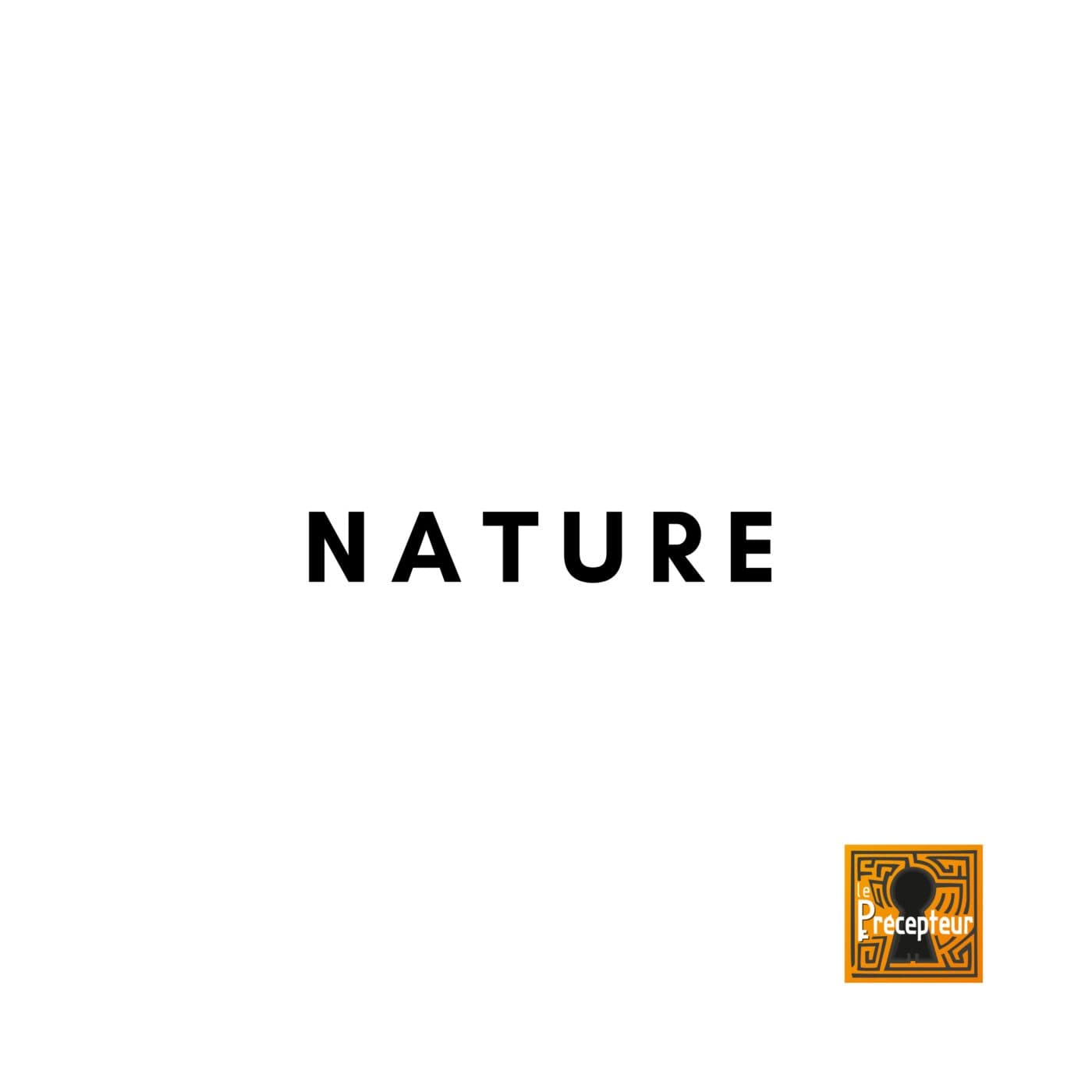 🔒 NATURE - 10 autres concepts fondamentaux de la philosophie cover