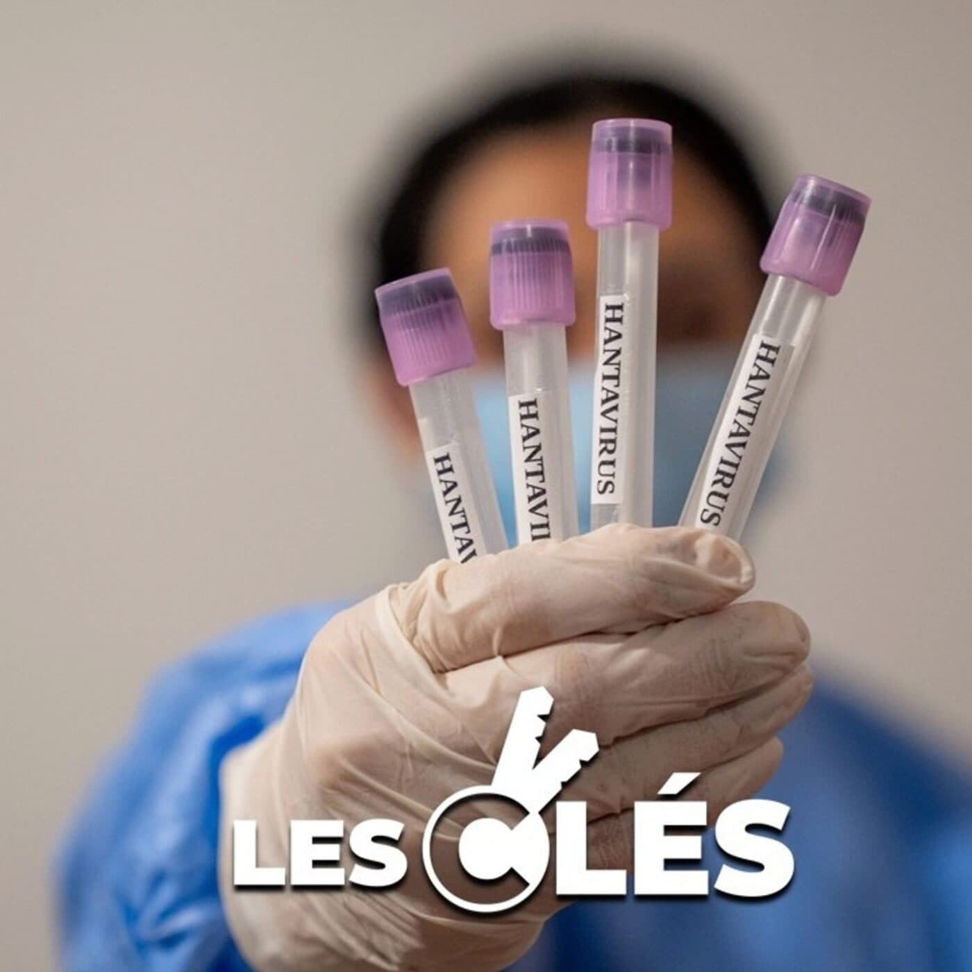 Faut-il avoir peur du hantavirus ? — Les Clés cover