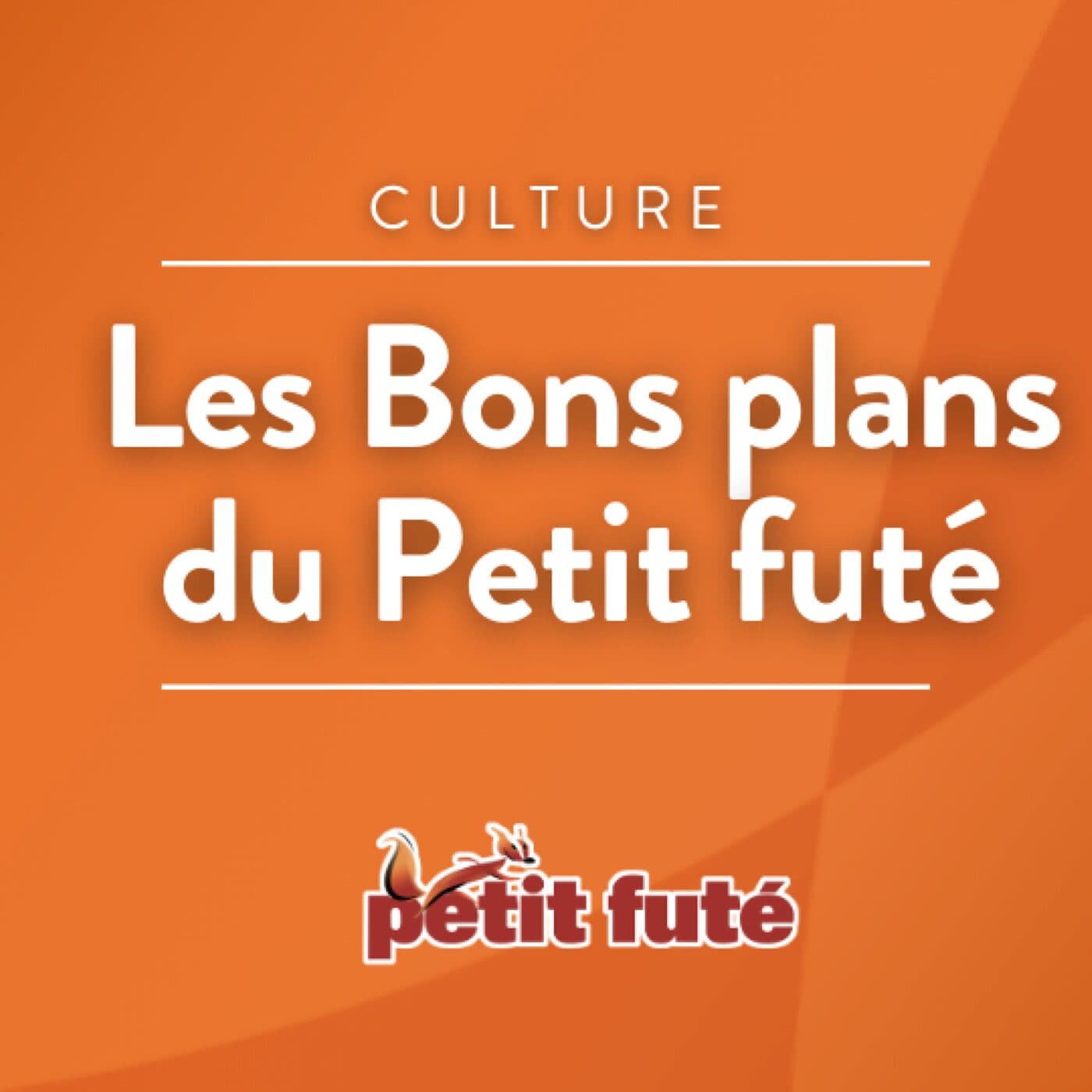 La Croatie - Les bons plans du Petit Futé cover