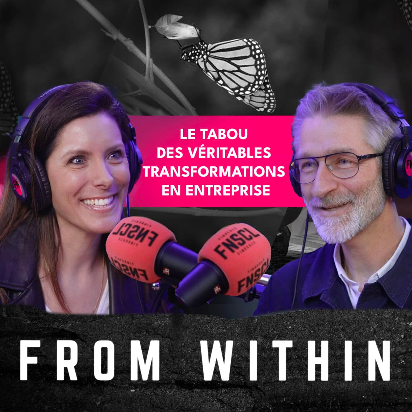 #338 - 📢 "From Within" - Alexis Desouches - Le tabou des véritables transformations en entreprise - Finscale cover