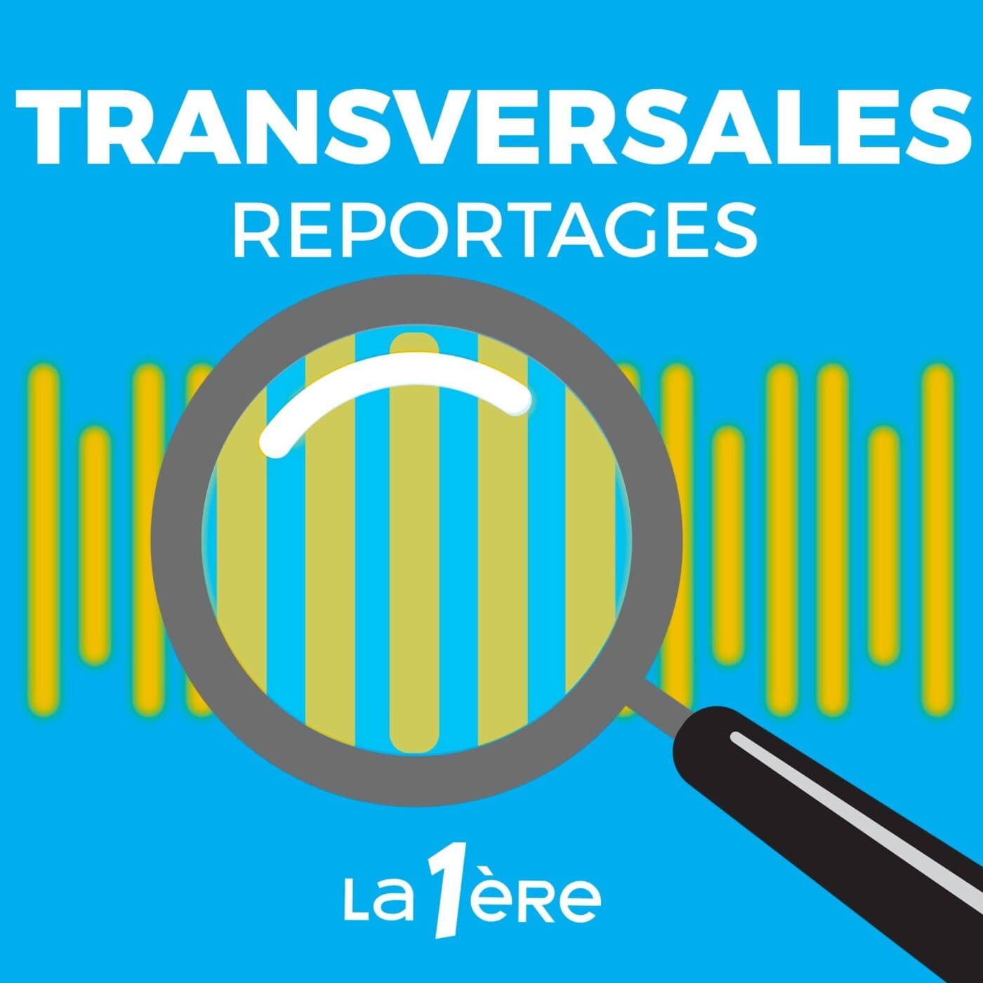 Transversales - reportages et documentaires cover