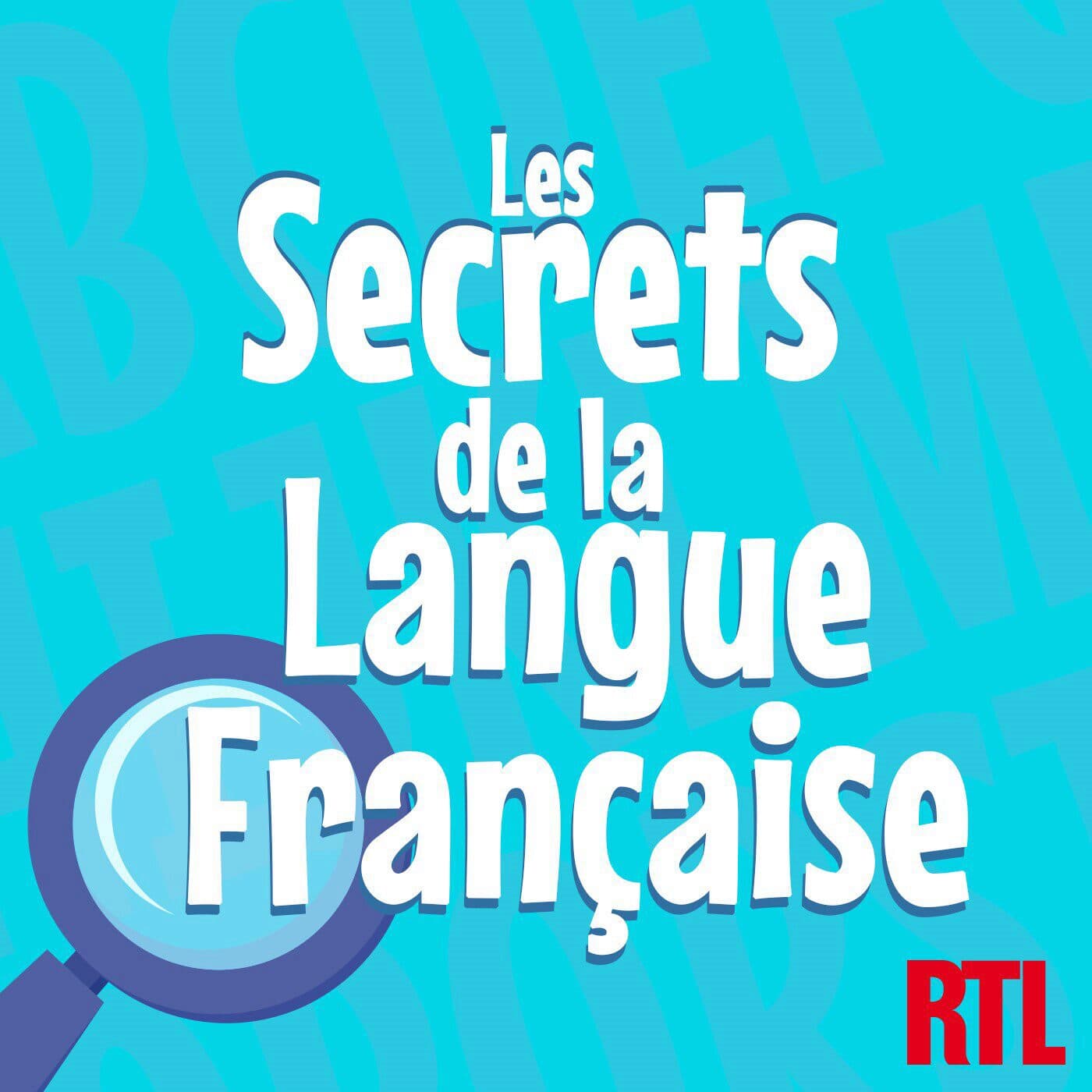 Les secrets de la langue française : orthographe, grammaire et conjugaison cover