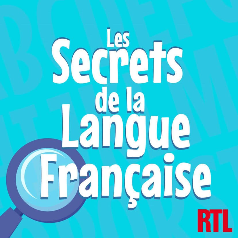 Les secrets de la langue française : orthographe, grammaire et conjugaison cover