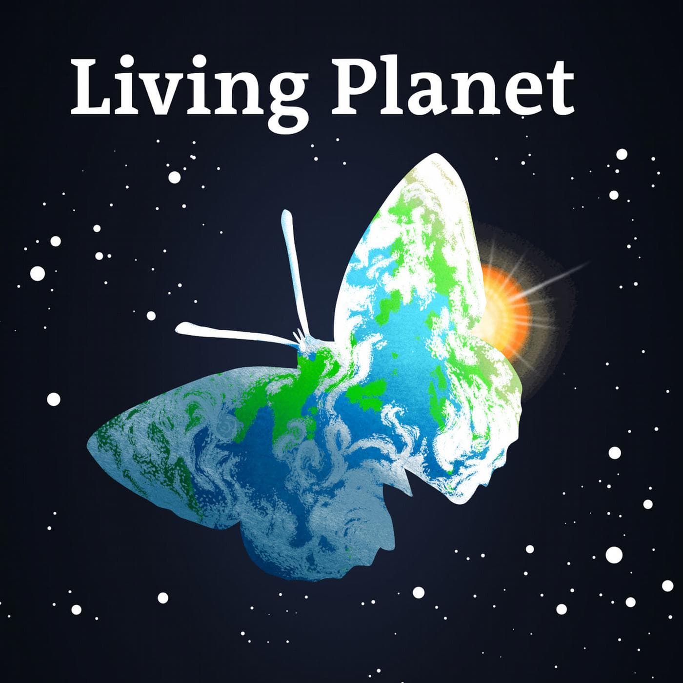 Would the four-day work week kill productivity? - Living Planet cover